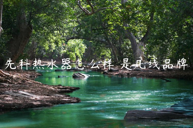 先科热水器怎么样 是几线品牌
