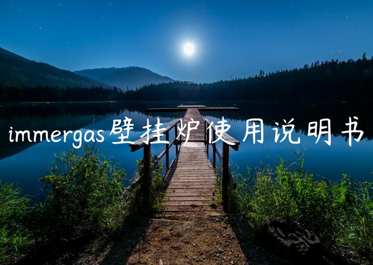 immergas壁挂炉使用说明书