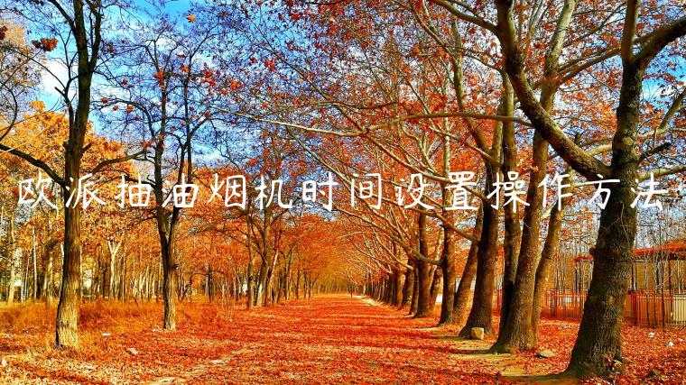欧派抽油烟机时间设置操作方法