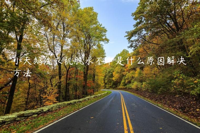 小天鹅洗衣机脱水不干是什么原因解决方法