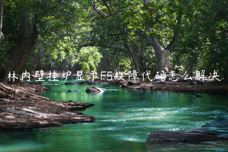 林内壁挂炉显示F5故障代码怎么解决