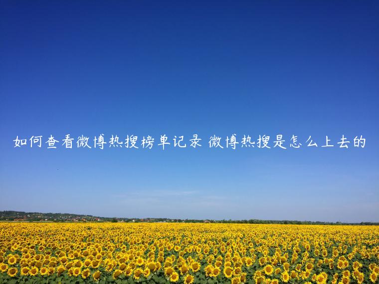 如何查看微博热搜榜单记录 微博热搜是怎么上去的