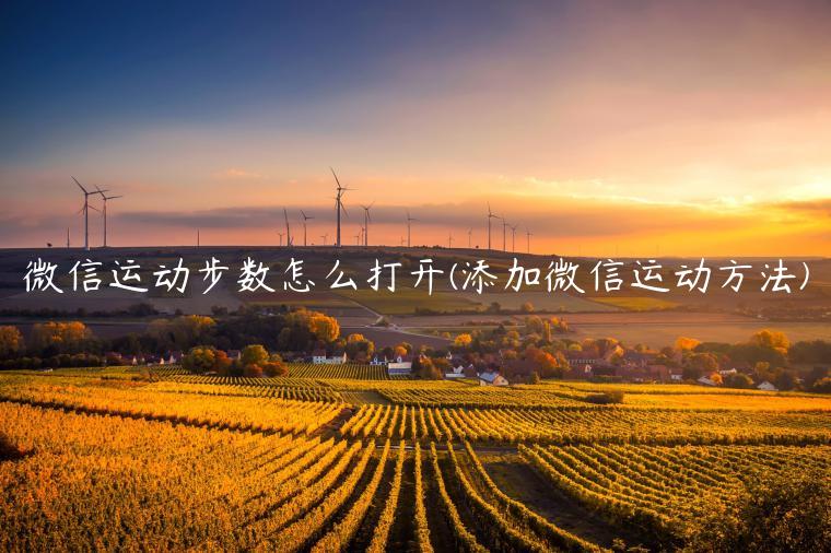 微信运动步数怎么打开(添加微信运动方法)