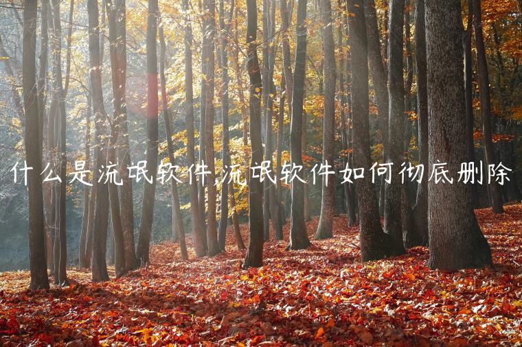 什么是流氓软件,流氓软件如何彻底删除