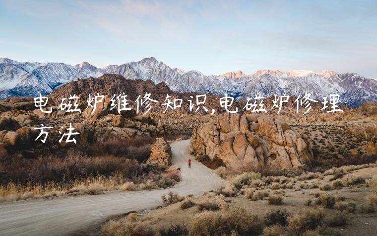 电磁炉维修知识,电磁炉修理方法