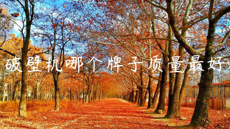 破壁机哪个牌子质量最好