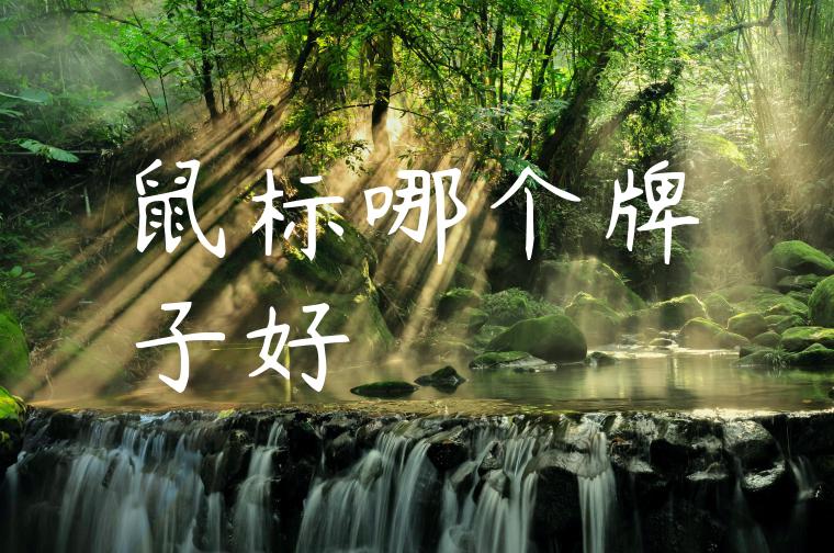 鼠标哪个牌子好