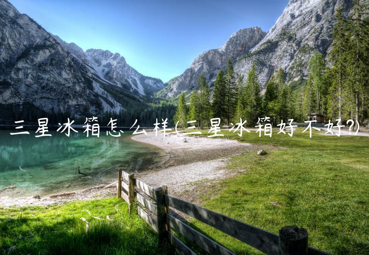 三星冰箱怎么样(三星冰箱好不好?)