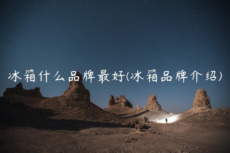 冰箱什么品牌最好(冰箱品牌介绍)