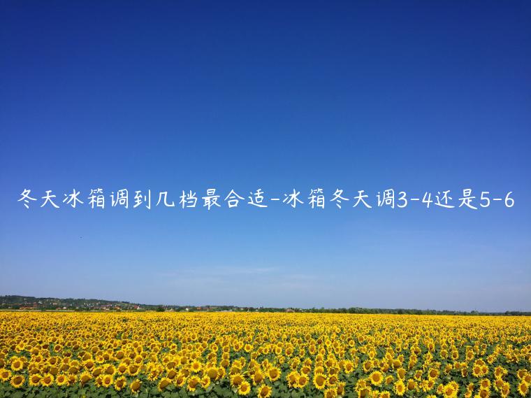 冬天冰箱调到几档最合适-冰箱冬天调3-4还是5-6