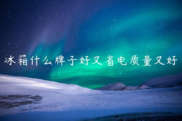 冰箱什么牌子好又省电质量又好