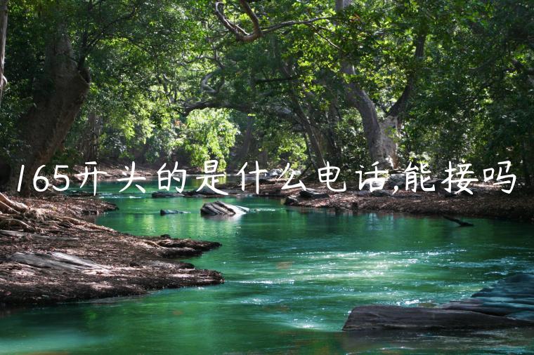 165开头的是什么电话,能接吗