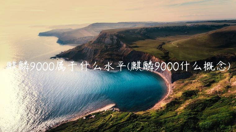 麒麟9000属于什么水平(麒麟9000什么概念)