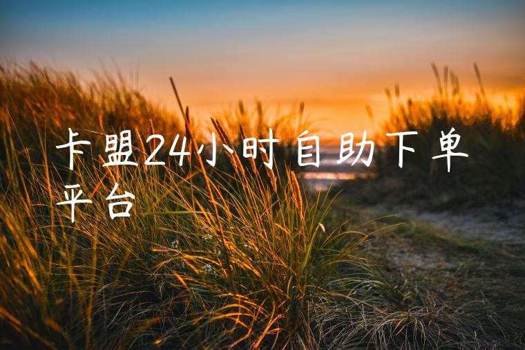 卡盟24小时自助下单平台