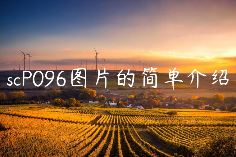 scP096图片的简单介绍