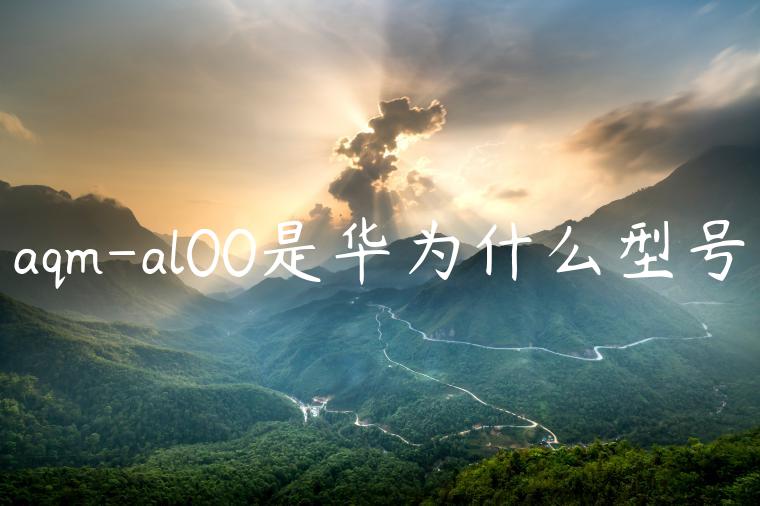 aqm-al00是华为什么型号