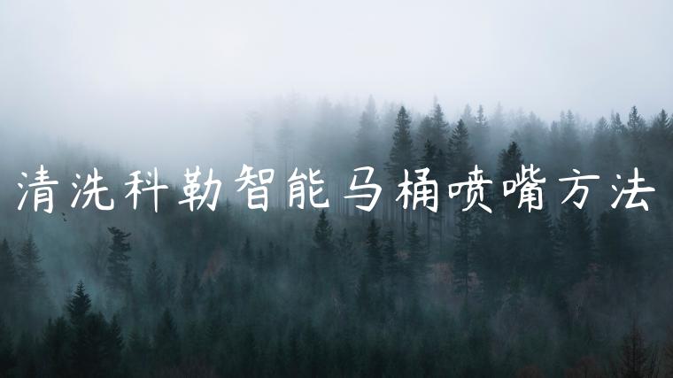 清洗科勒智能马桶喷嘴方法