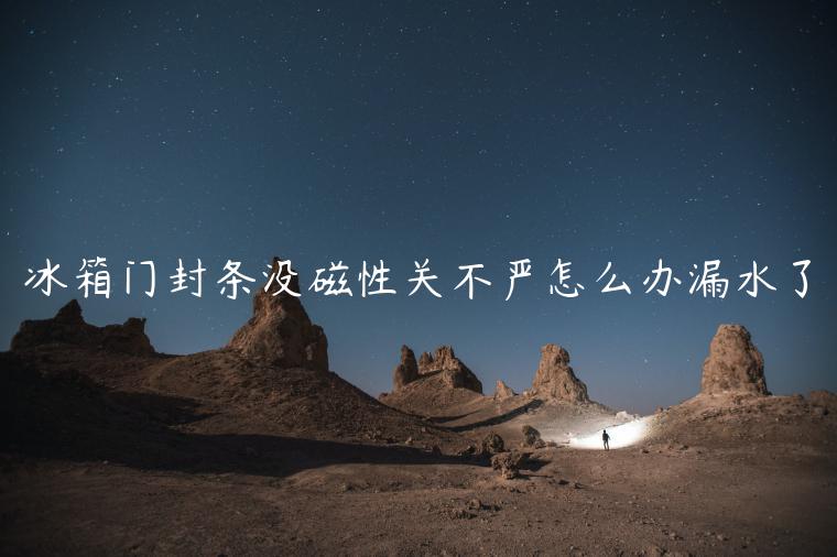 冰箱门封条没磁性关不严怎么办漏水了