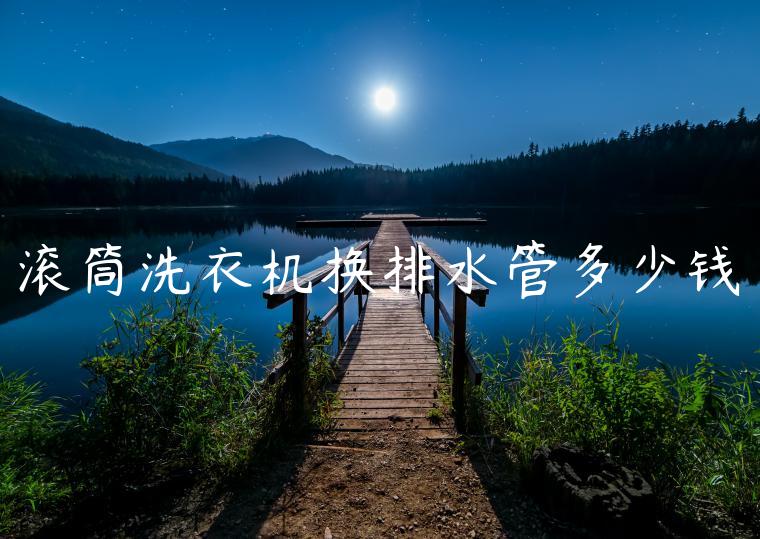 滚筒洗衣机换排水管多少钱