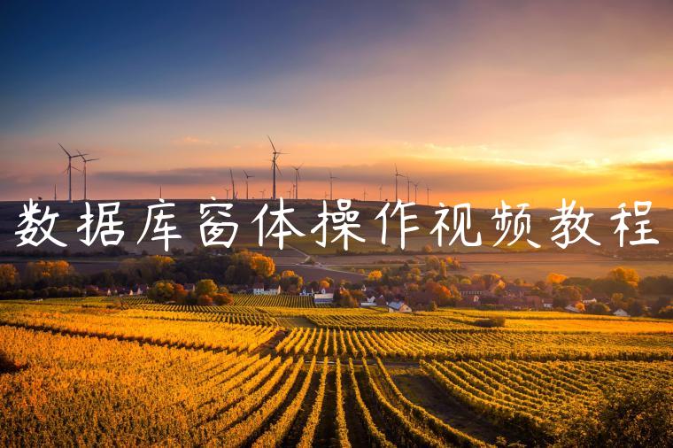 数据库窗体操作视频教程