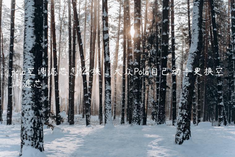 polo空调滤芯怎么换_大众Polo自己动手更换空调滤芯