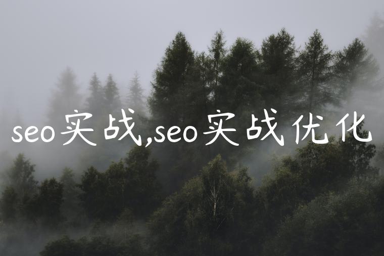 seo实战,seo实战优化