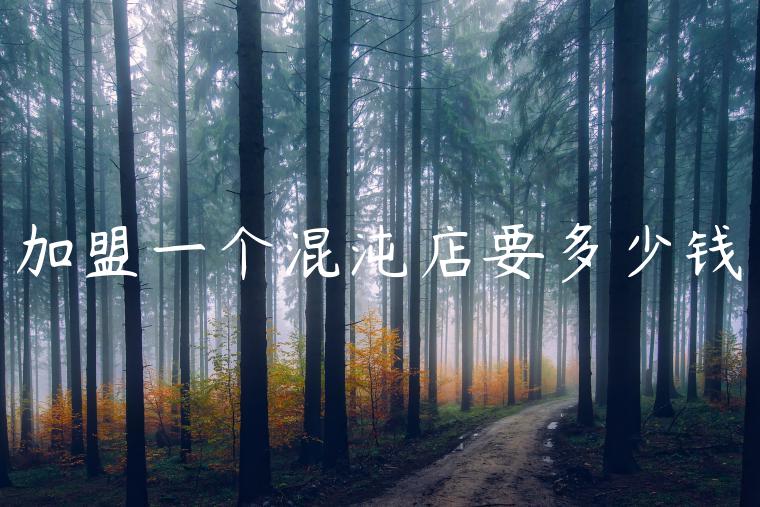 加盟一个混沌店要多少钱