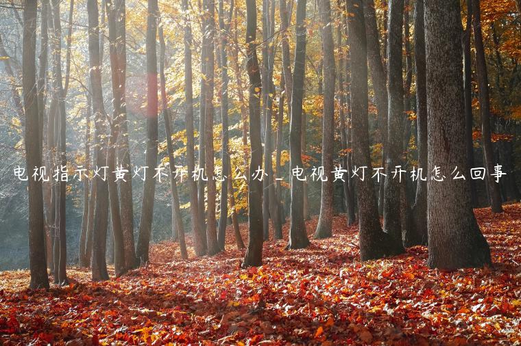 电视指示灯黄灯不开机怎么办_电视黄灯不开机怎么回事