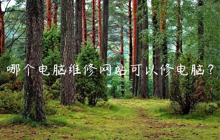 哪个电脑维修网站可以修电脑？