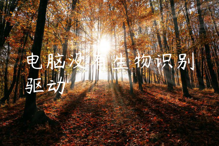 电脑没有生物识别驱动