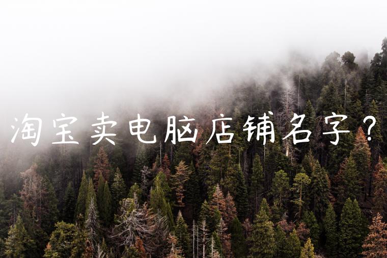 淘宝卖电脑店铺名字？