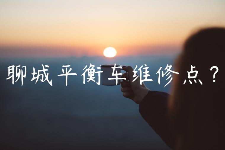 聊城平衡车维修点？