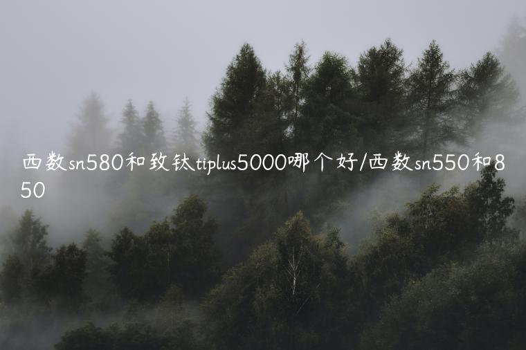西数sn580和致钛tiplus5000哪个好/西数sn550和850
