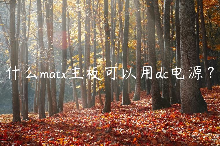 什么matx主板可以用dc电源？