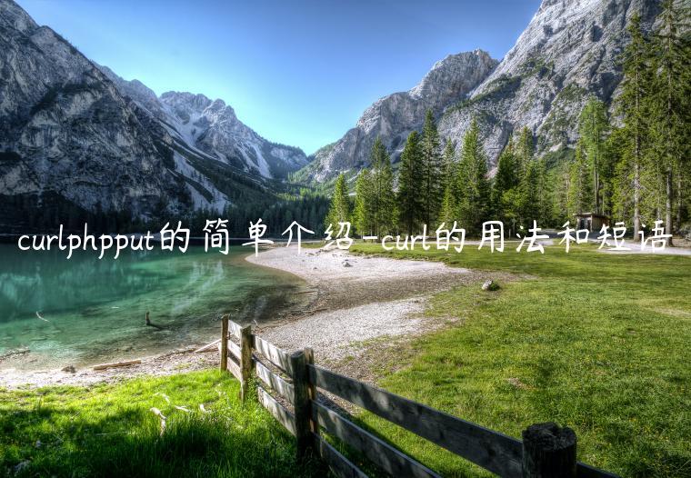 curlphpput的简单介绍-curl的用法和短语