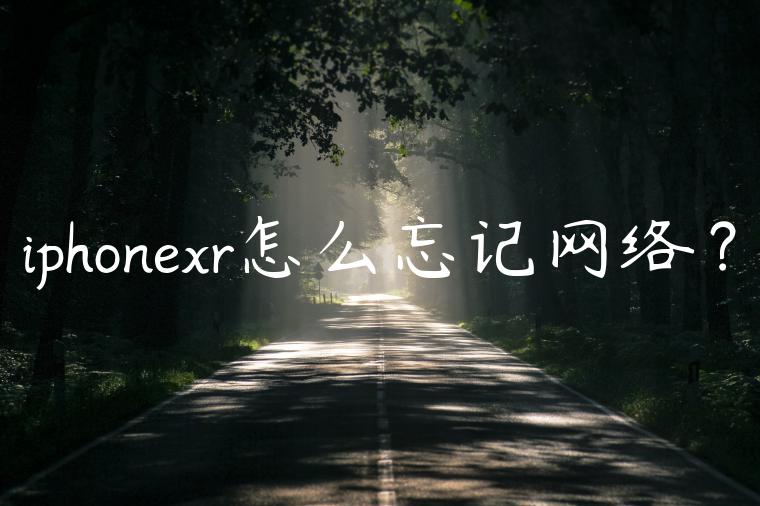 iphonexr怎么忘记网络？