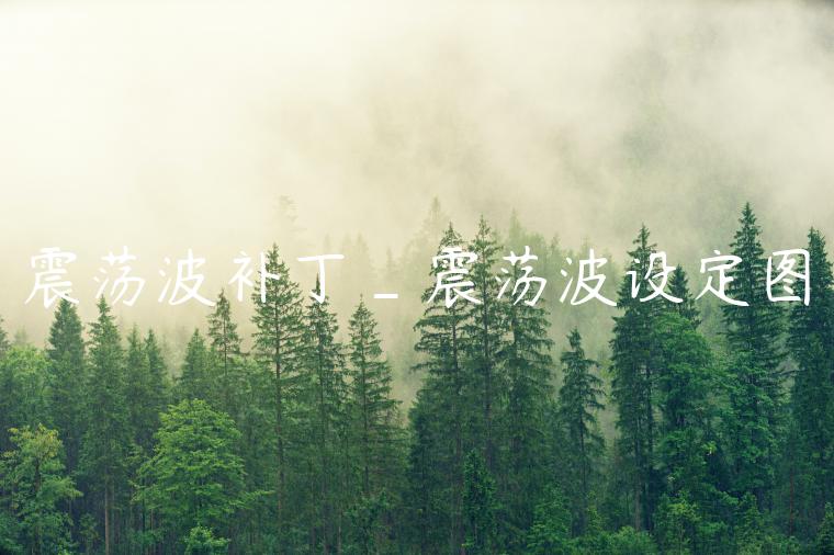 震荡波补丁_震荡波设定图