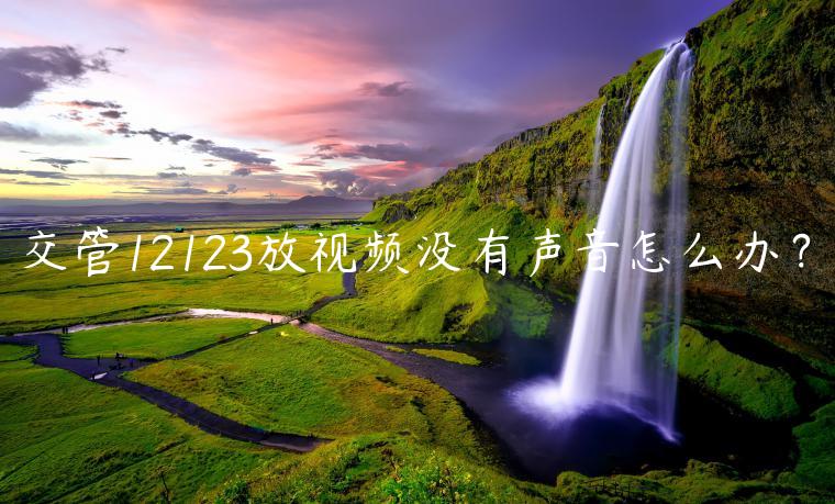 交管12123放视频没有声音怎么办？