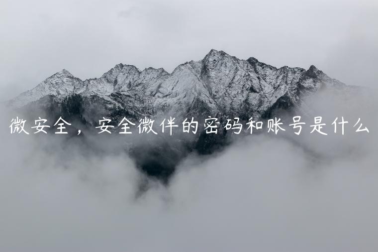 微安全，安全微伴的密码和账号是什么