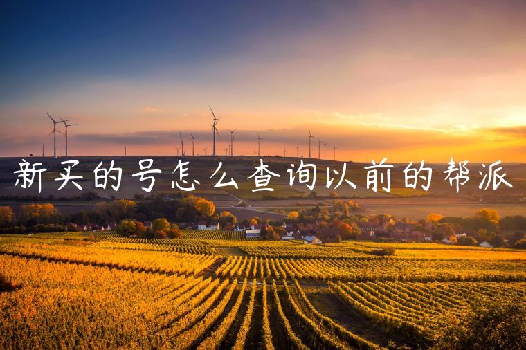 新买的号怎么查询以前的帮派