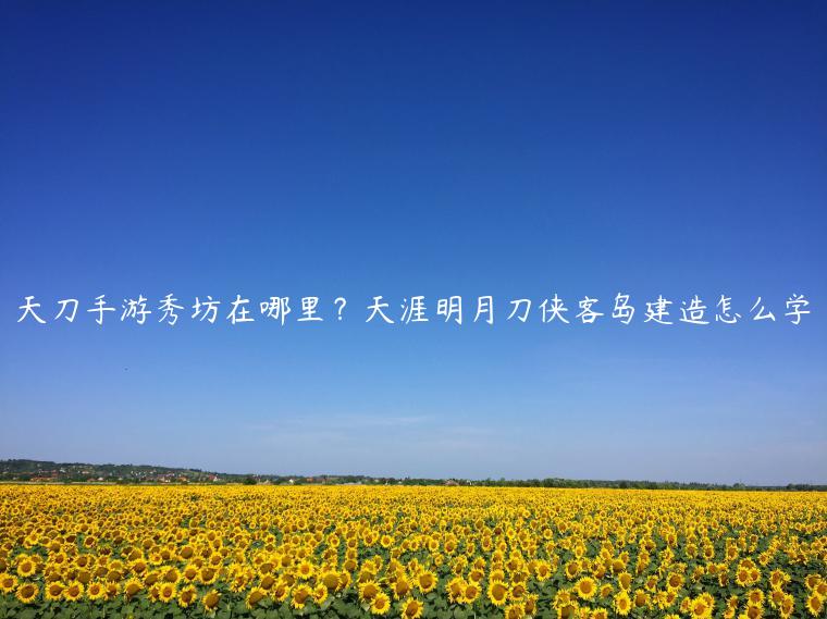 天刀手游秀坊在哪里？天涯明月刀侠客岛建造怎么学