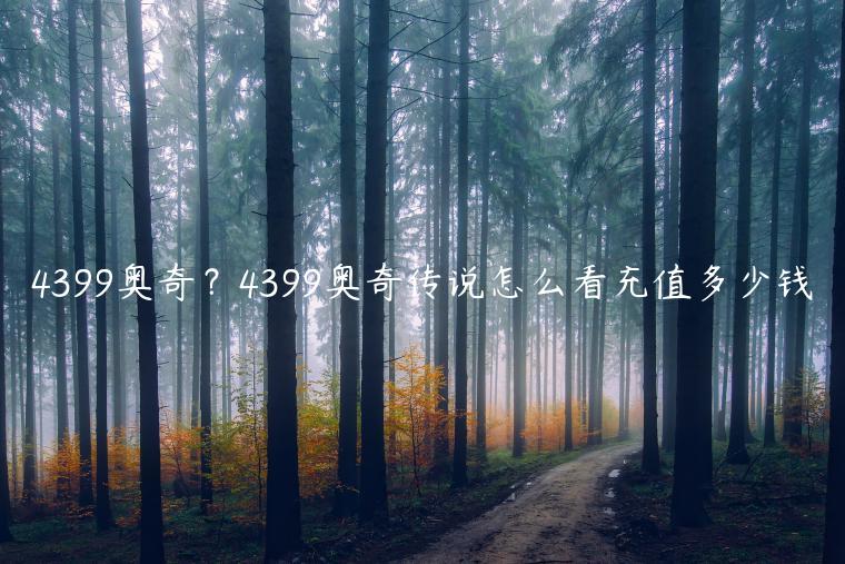4399奥奇？4399奥奇传说怎么看充值多少钱