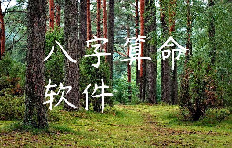八字算命软件