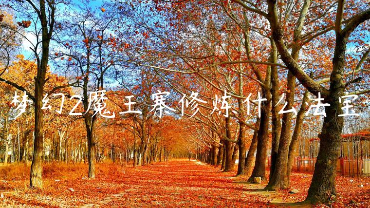 梦幻2魔王寨修炼什么法宝