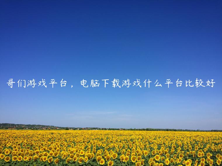 哥们游戏平台，电脑下载游戏什么平台比较好