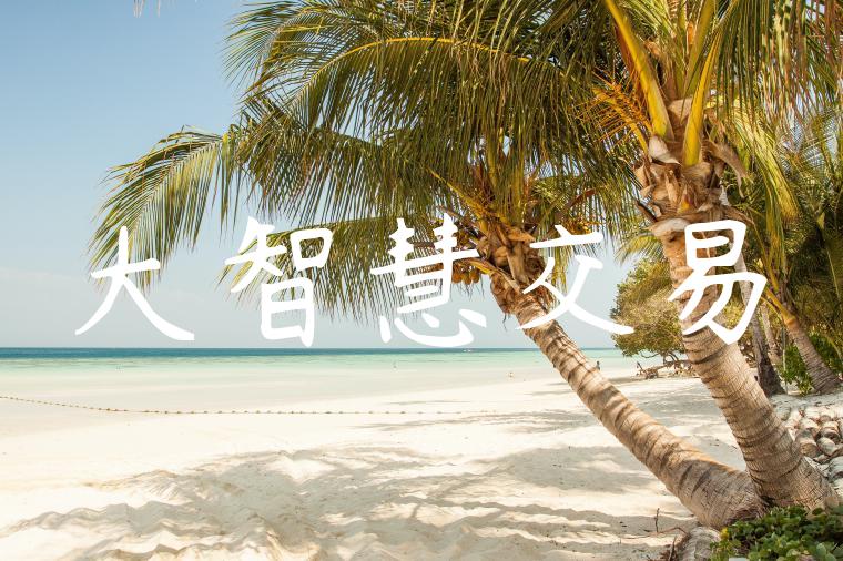 大智慧交易