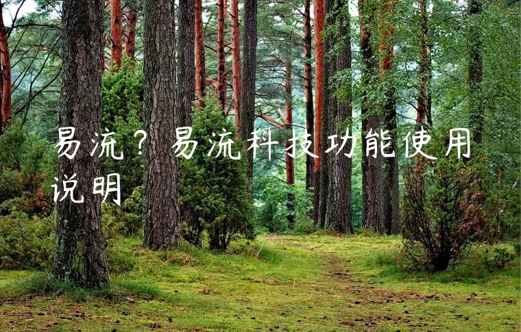 易流？易流科技功能使用说明