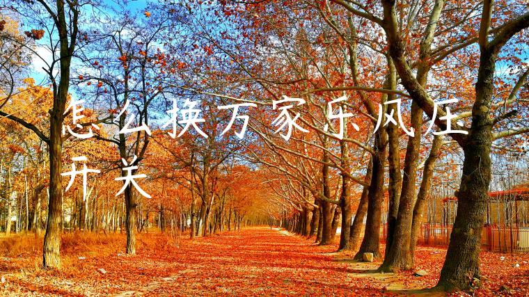 怎么换万家乐风压开关