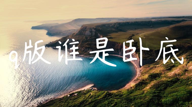 q版谁是卧底