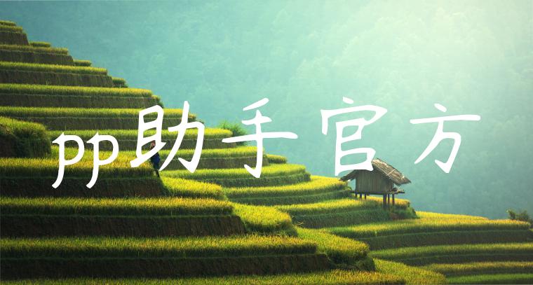 pp助手官方